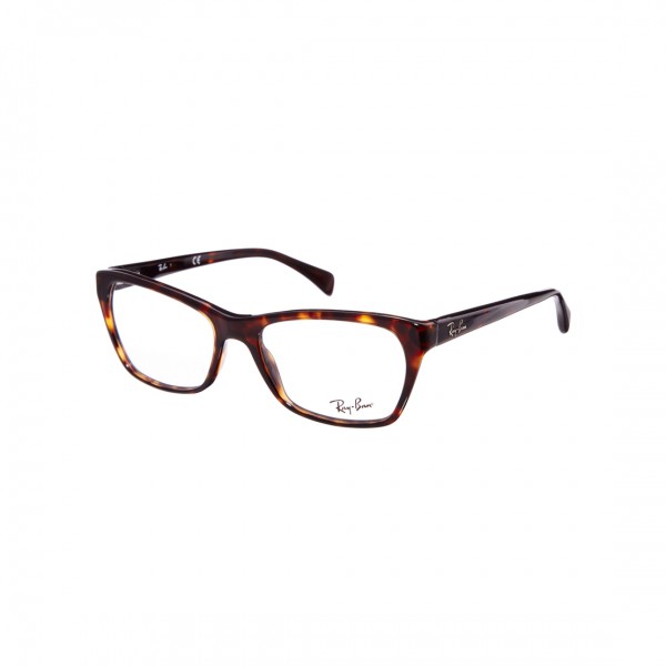 Ray-Ban-Wayfarer-Glasses-1