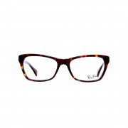 Ray-Ban-Wayfarer-Glasses-2